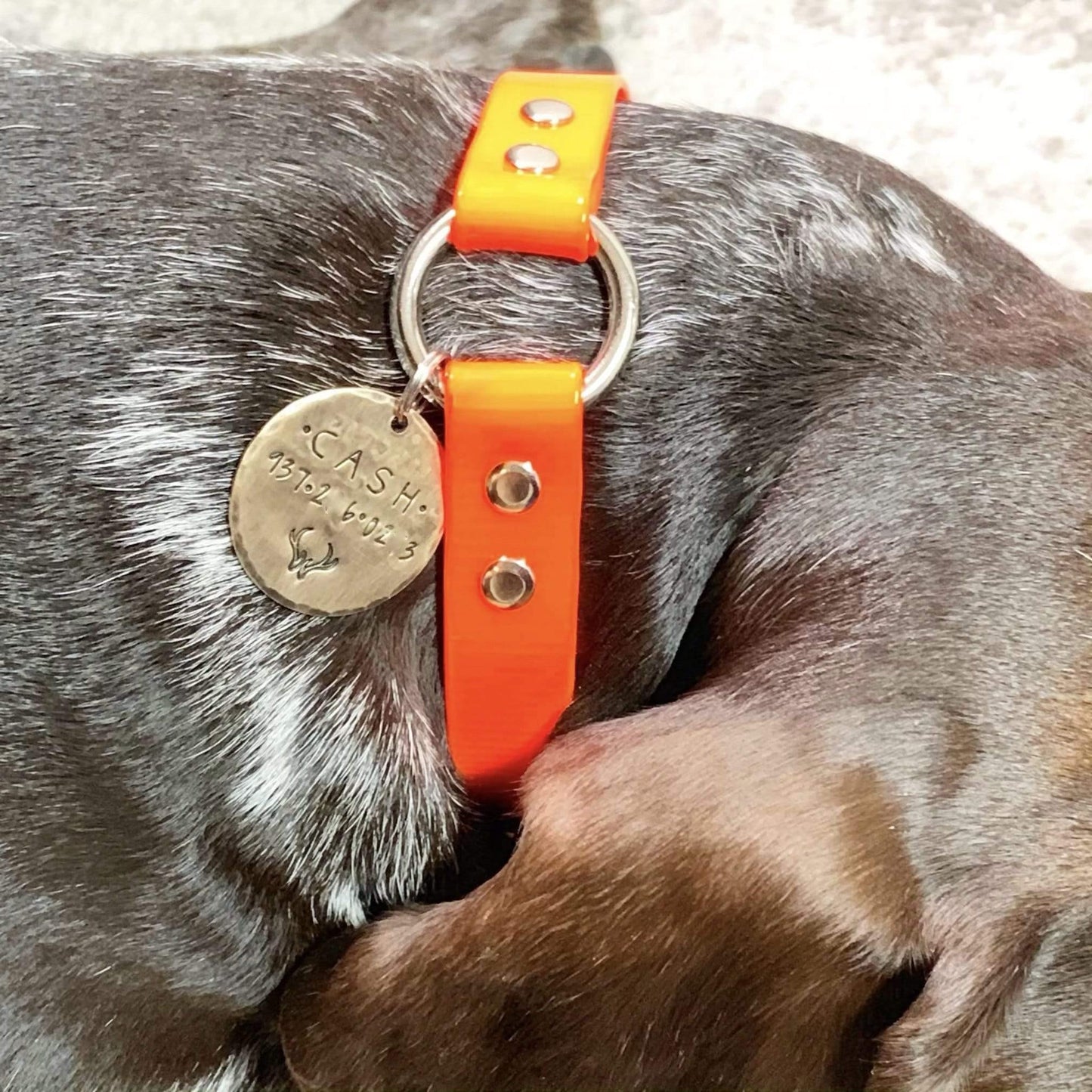 Large Brass Custom Dog Tag with Arrow Design - KyleeMae Designs